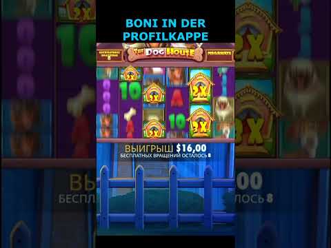 wildsino persönliches konto